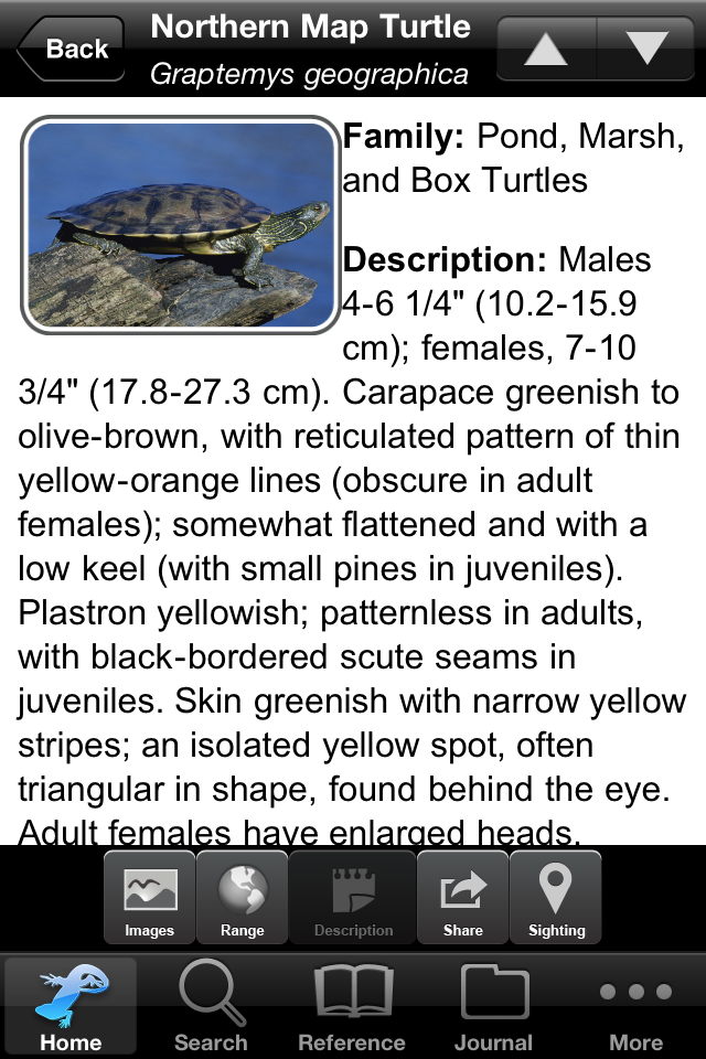 iPhone Screenshot 1